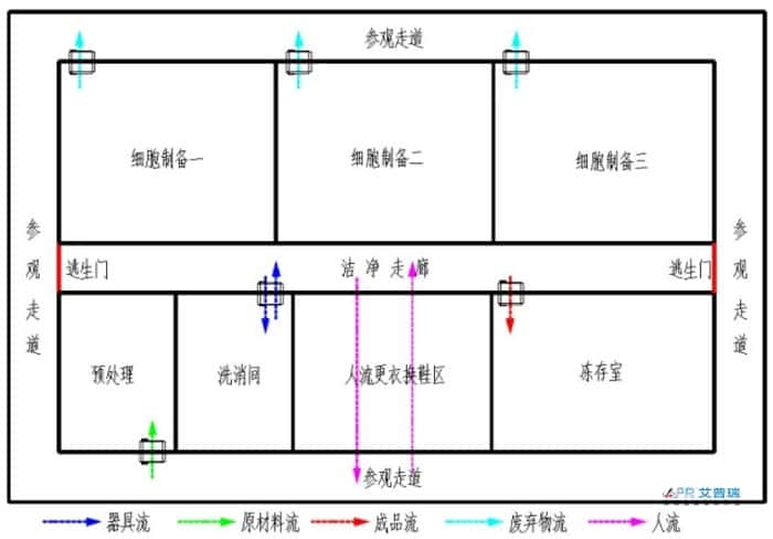 干细胞实验室布局怎么设计？